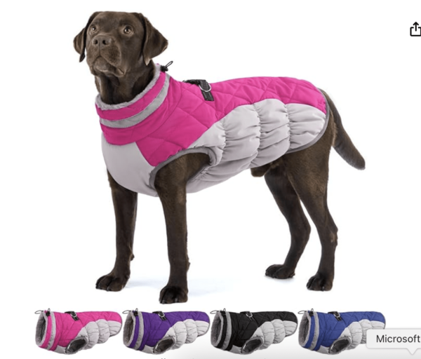 dog puffer jacket